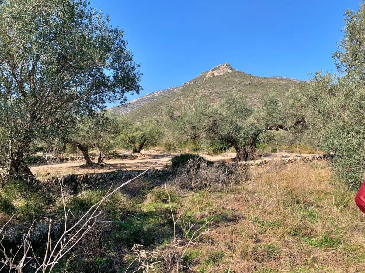 Quinta/Casa Rural para venda em Roquetes - 23 000 € (Ref: 9183647)