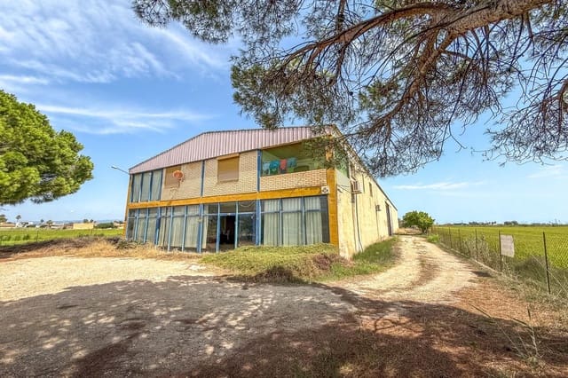 Erhverv til salg i Deltebre - € 350.000 (Ref: 9183648)