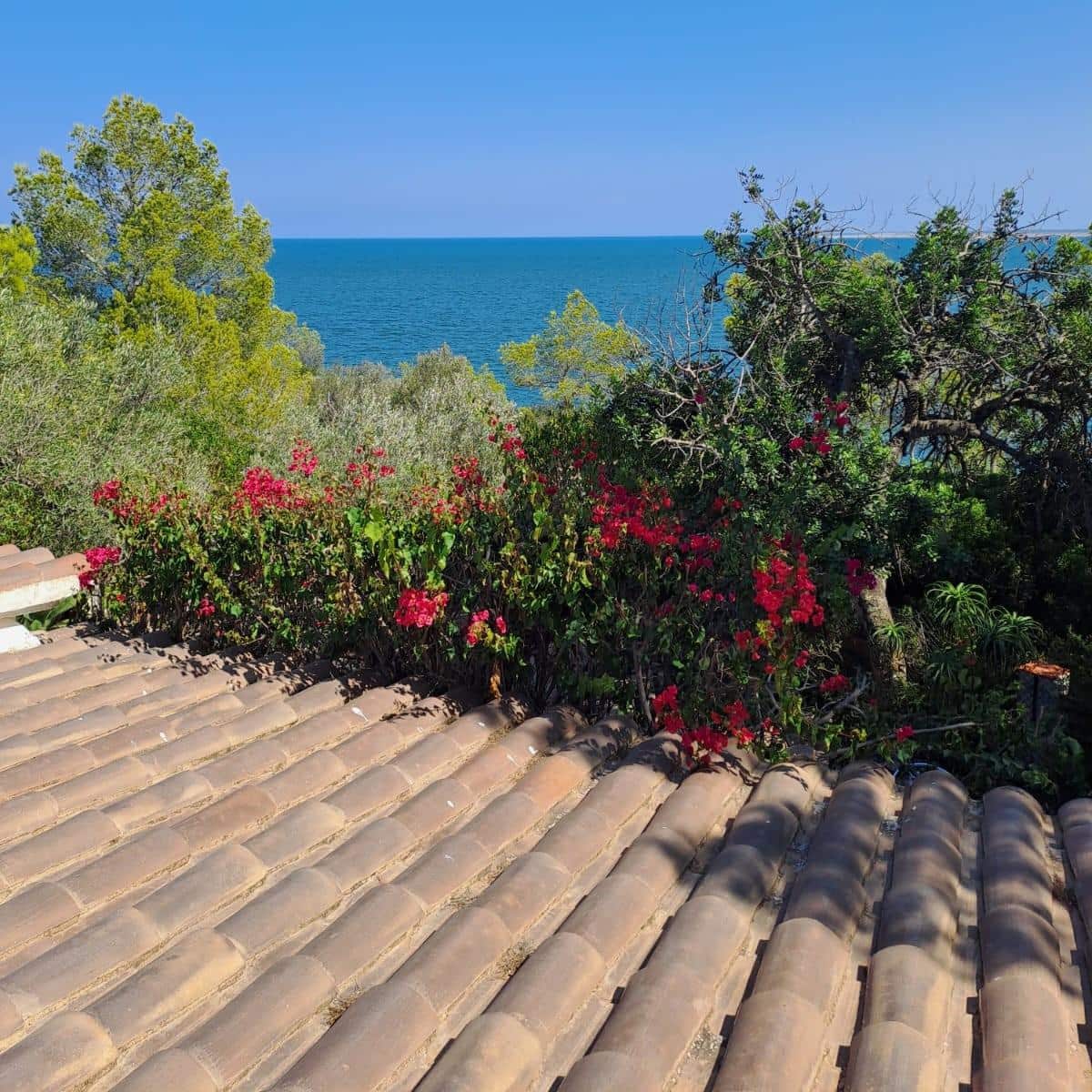 3 bedroom Villa for sale in L'Ampolla - € 595,000 (Ref: 9282184)