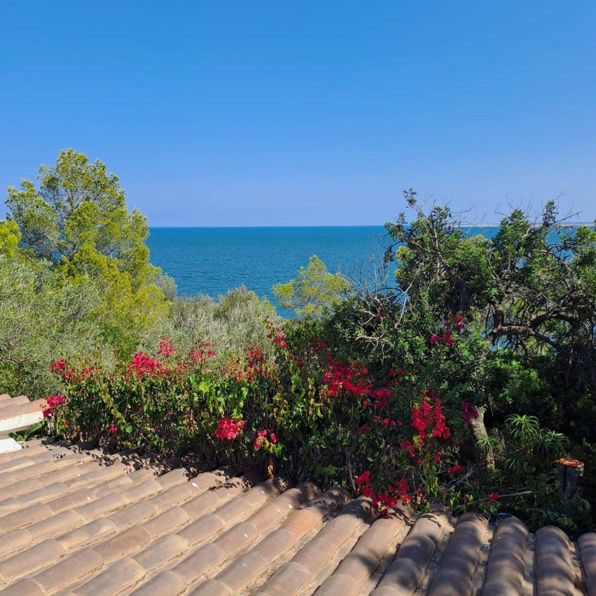 3 bedroom Villa for sale in L'Ampolla - € 595,000 (Ref: 9282184)