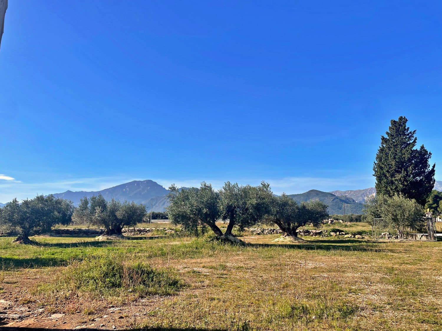 1 soverom Finca/Herregård til salgs i Aldover - € 42 500 (Ref: 9482035)