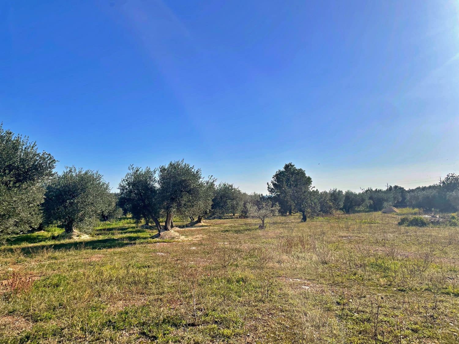 1 soverom Finca/Herregård til salgs i Aldover - € 42 500 (Ref: 9482035)