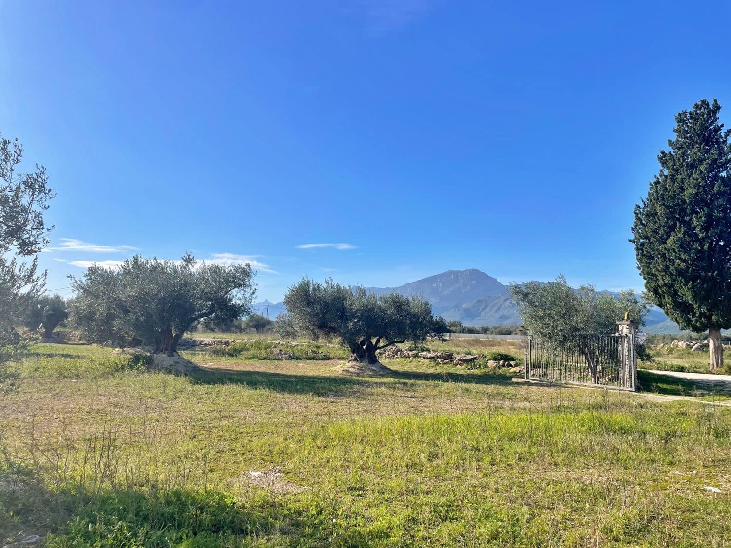 1 soverom Finca/Herregård til salgs i Aldover - € 42 500 (Ref: 9482035)