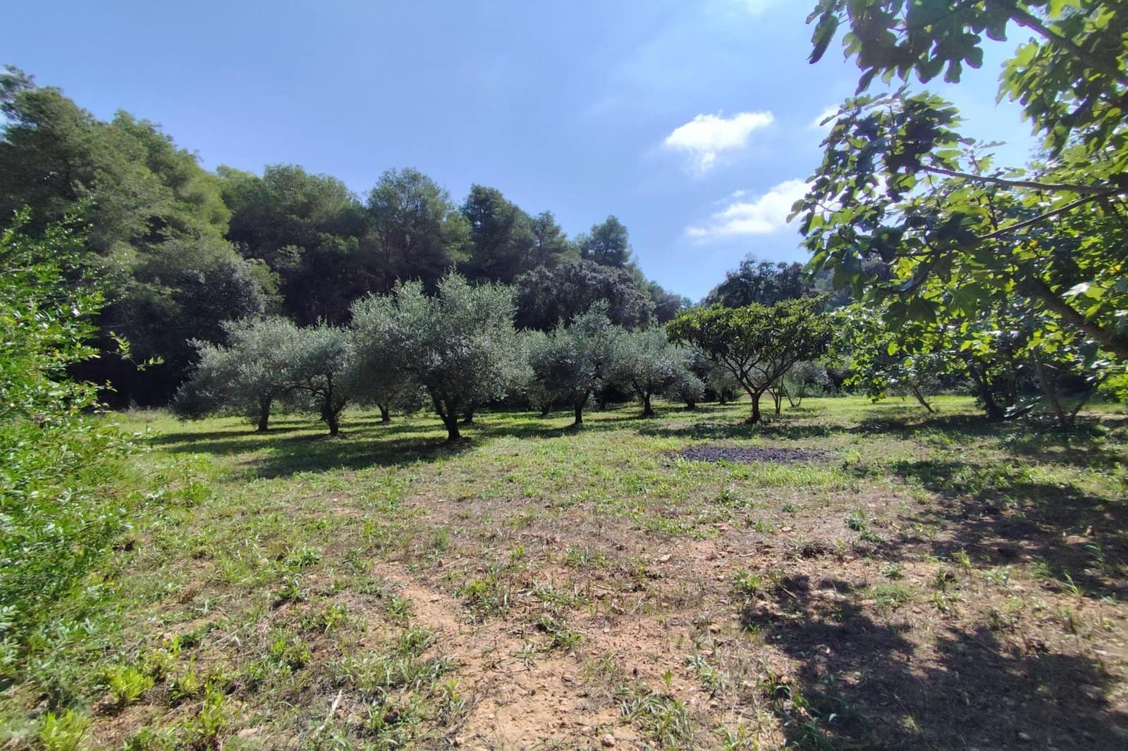 4 sovrum Finca/Hus på landet till salu i Castellet i la Gornal - 380 000 € (Ref: 9499017)