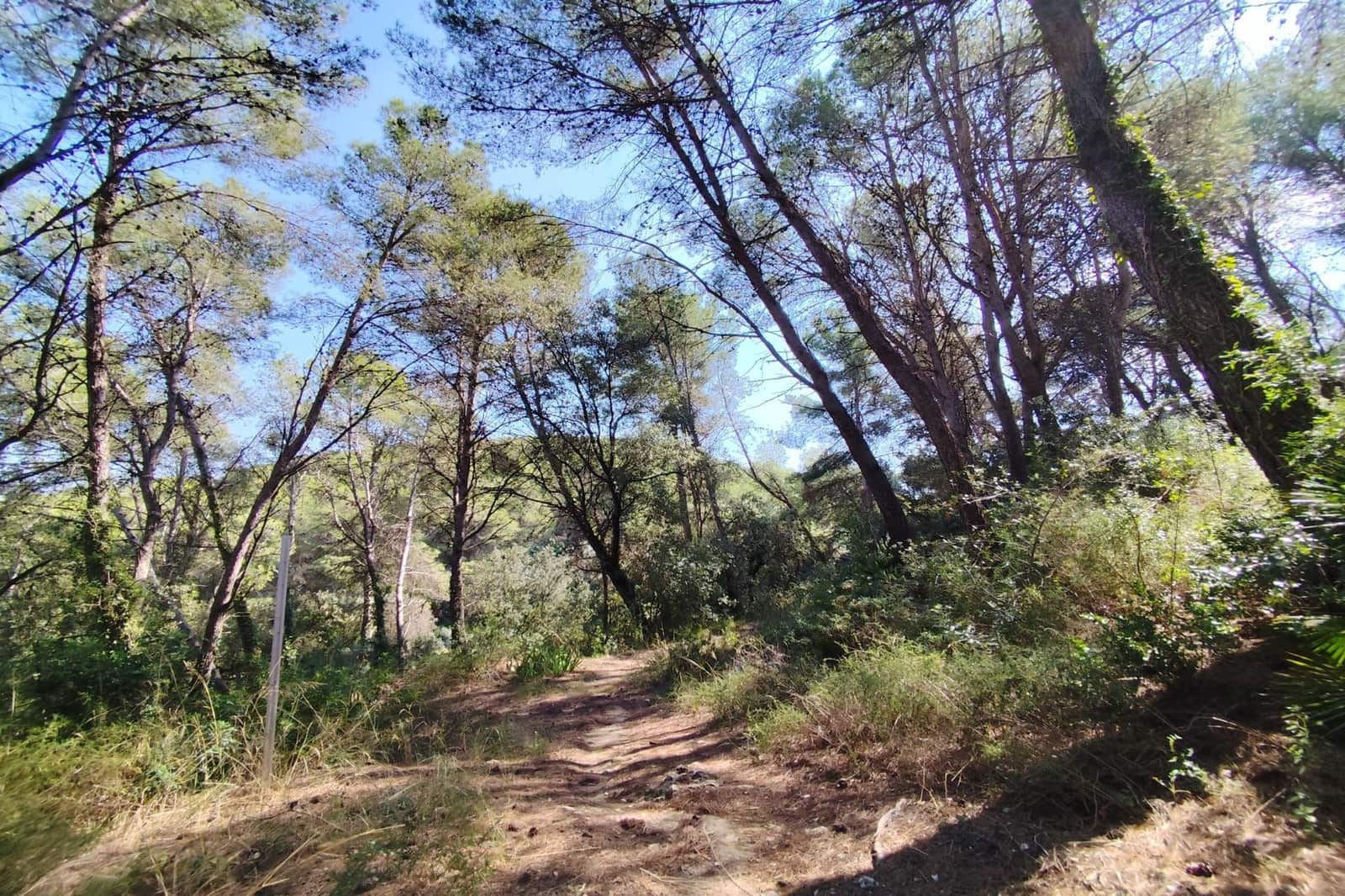 4 sovrum Finca/Hus på landet till salu i Castellet i la Gornal - 380 000 € (Ref: 9499017)