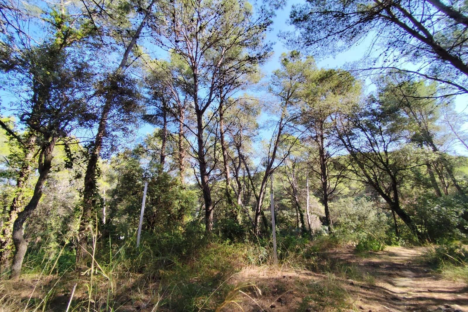 4 sovrum Finca/Hus på landet till salu i Castellet i la Gornal - 380 000 € (Ref: 9499017)