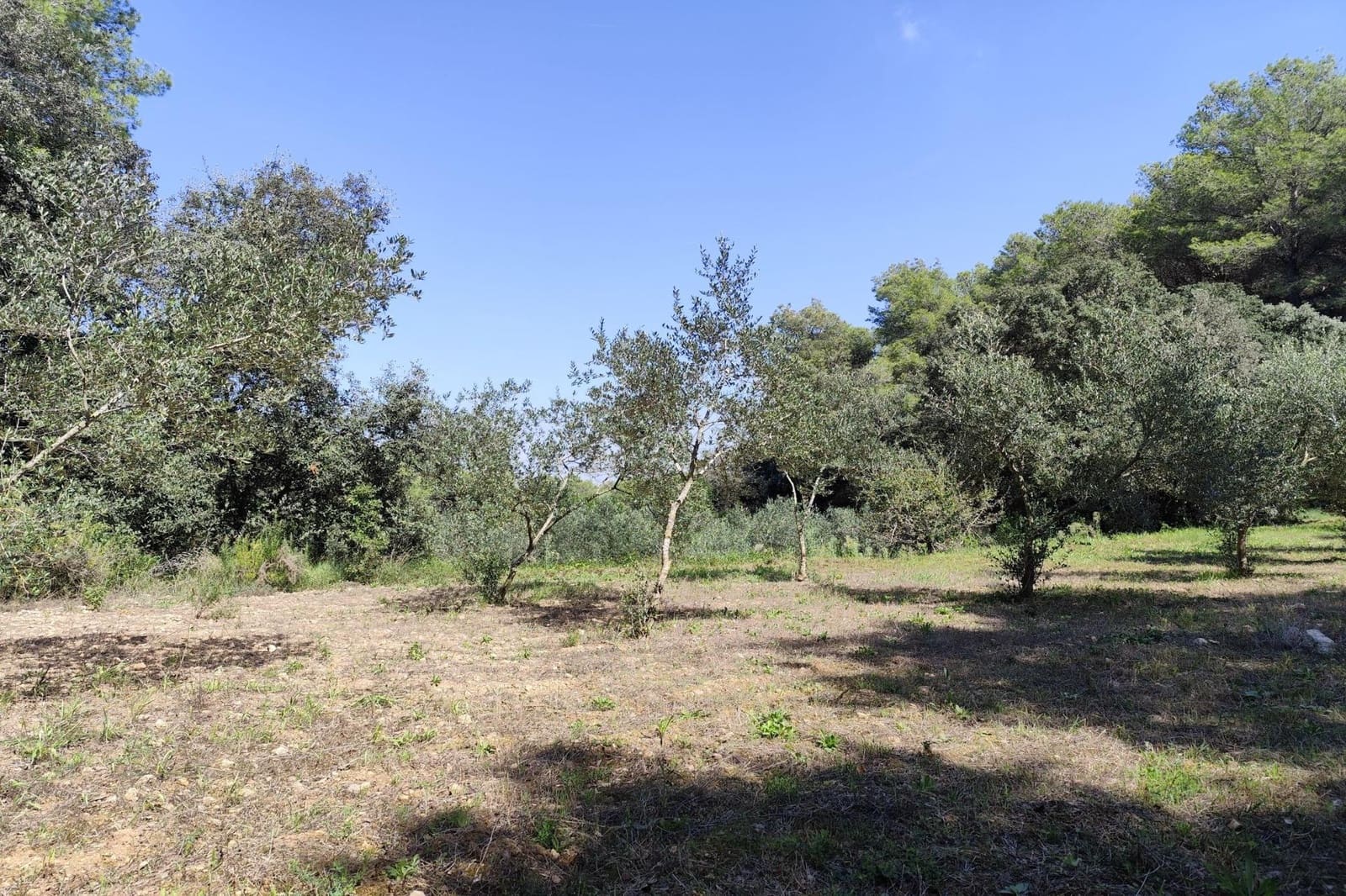 4 sovrum Finca/Hus på landet till salu i Castellet i la Gornal - 380 000 € (Ref: 9499017)