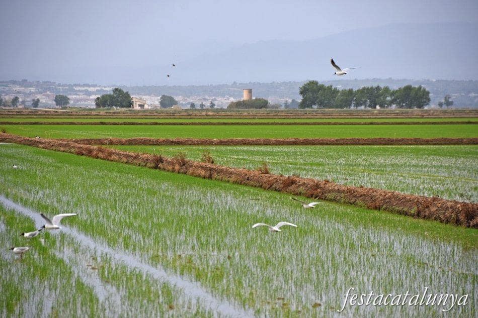 6 quarto Moradia para venda em Deltebre - 2 500 000 € (Ref: 9571161)