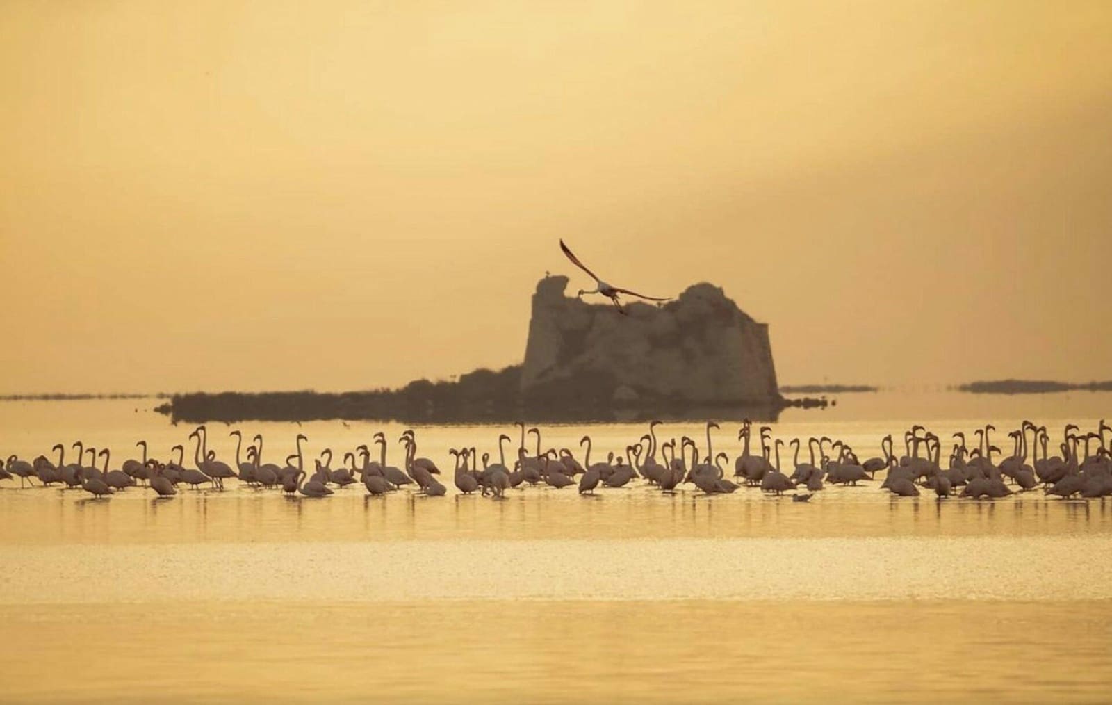 6 quarto Moradia para venda em Deltebre - 2 500 000 € (Ref: 9571161)