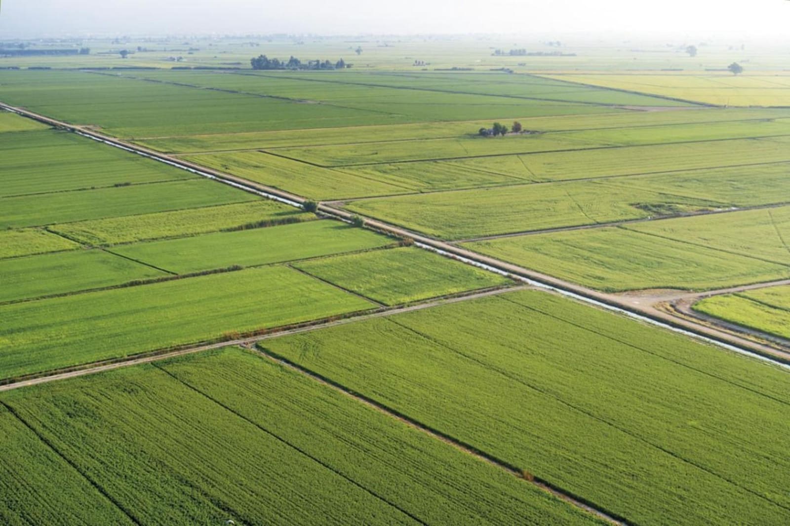 Byggegrund til salg i Deltebre - € 35.840 (Ref: 9637546)