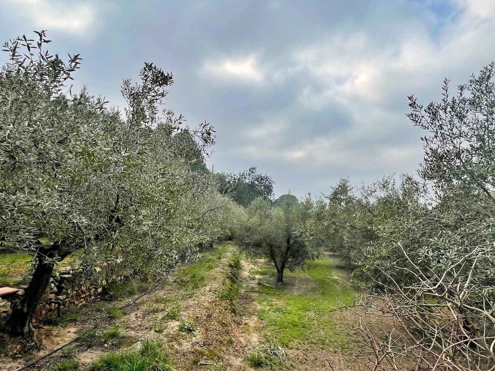 2 camera da letto Villa in vendita in Tortosa con garage - 260.000 € (Rif: 9637547)