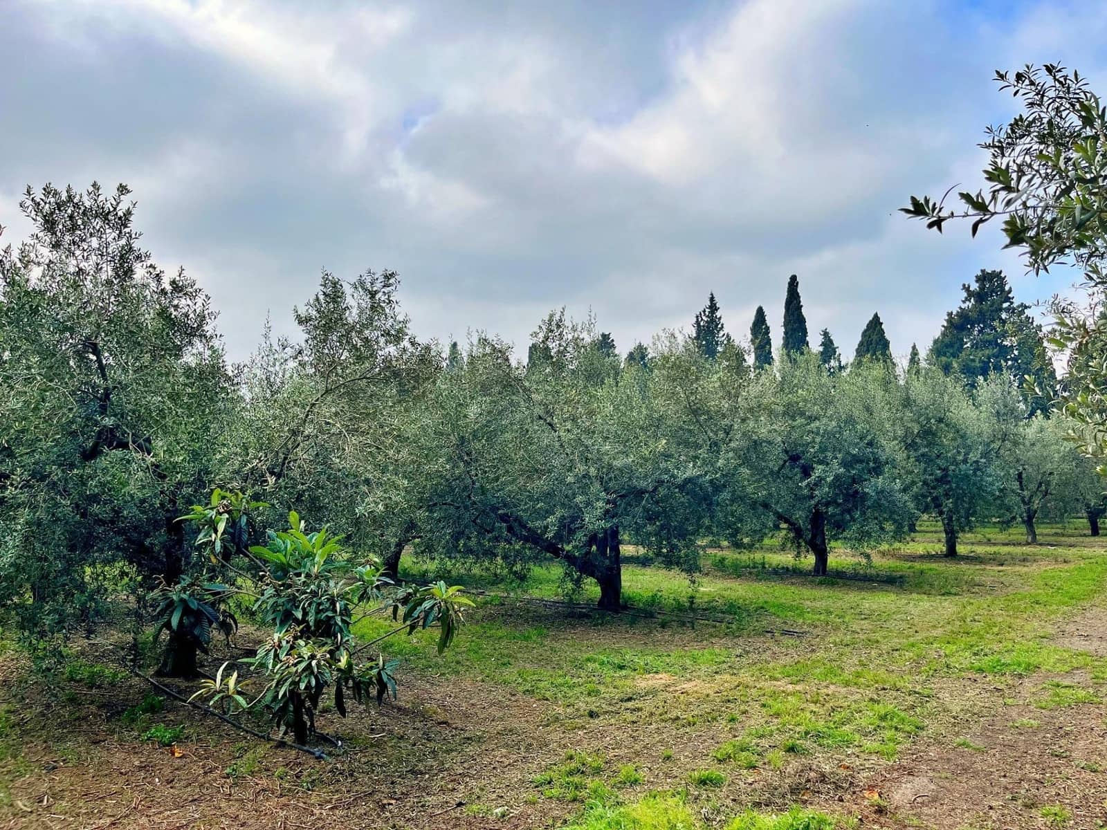 2 camera da letto Villa in vendita in Tortosa con garage - 260.000 € (Rif: 9637547)