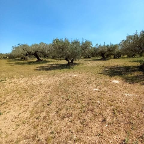 1 chambre Finca/Maison de Campagne à vendre à Roquetes - 38 000 € (Ref: 9833648)
