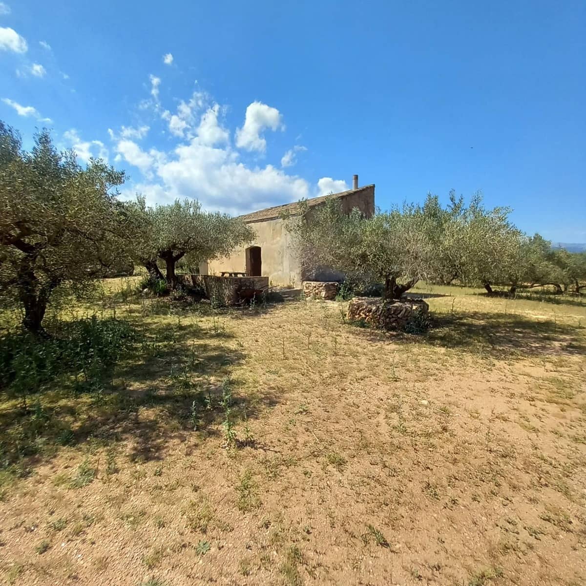 1 chambre Finca/Maison de Campagne à vendre à Roquetes - 38 000 € (Ref: 9833648)