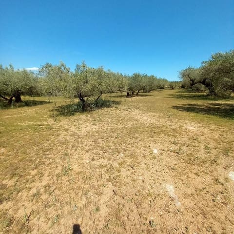 1 chambre Finca/Maison de Campagne à vendre à Roquetes - 38 000 € (Ref: 9833648)