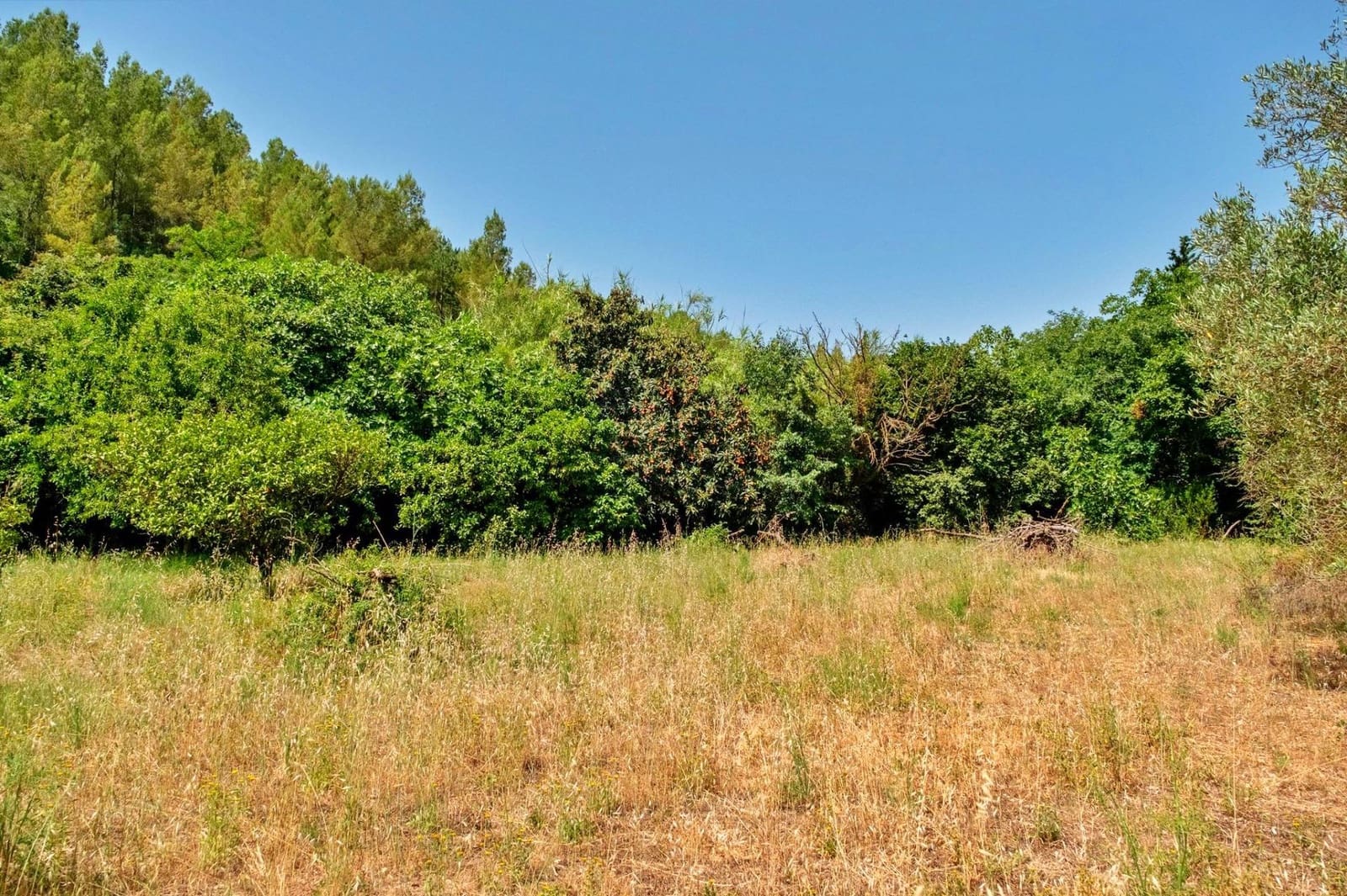 4 soverom Villa til salgs i Alfara de Carles - € 165 000 (Ref: 9938187)