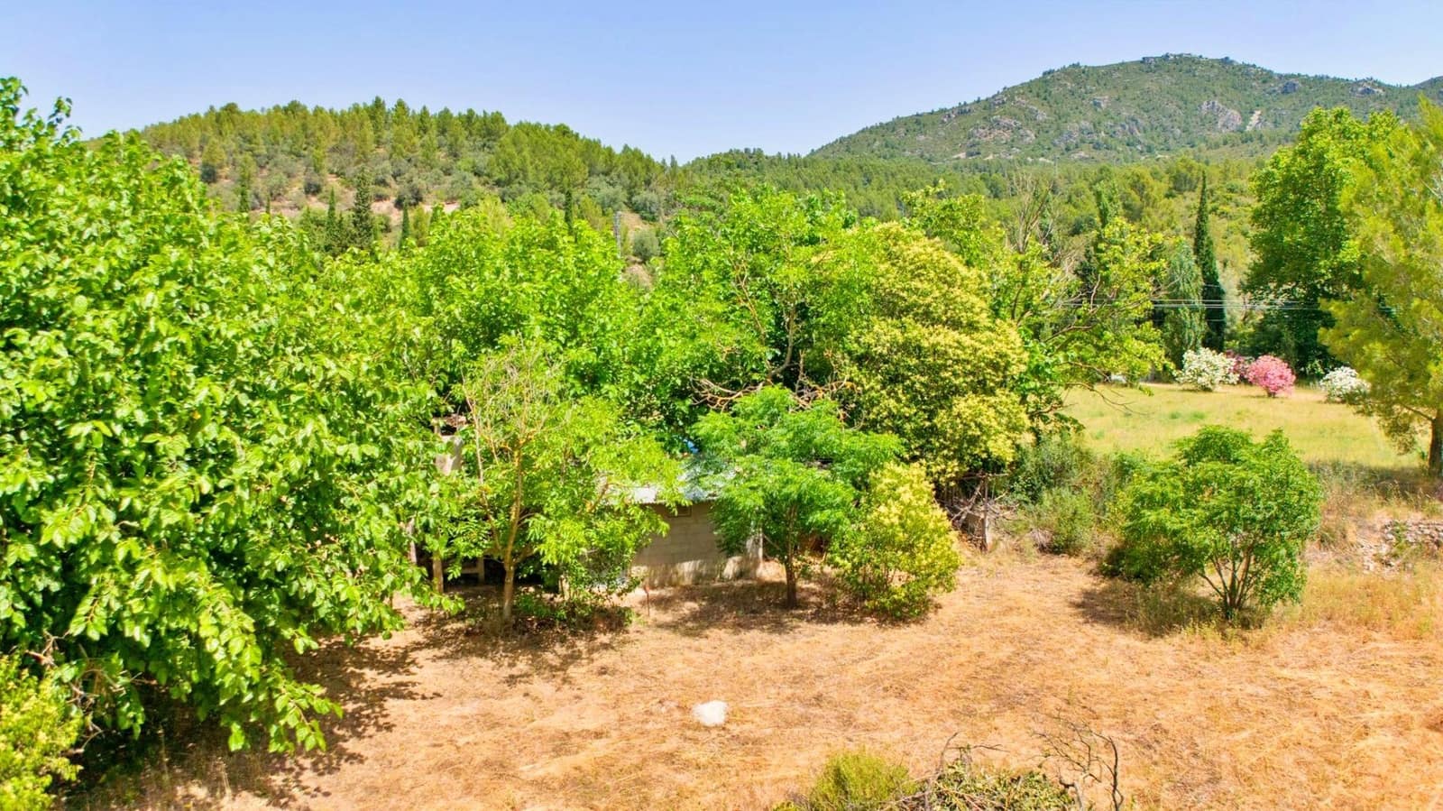 4 soverom Villa til salgs i Alfara de Carles - € 165 000 (Ref: 9938187)