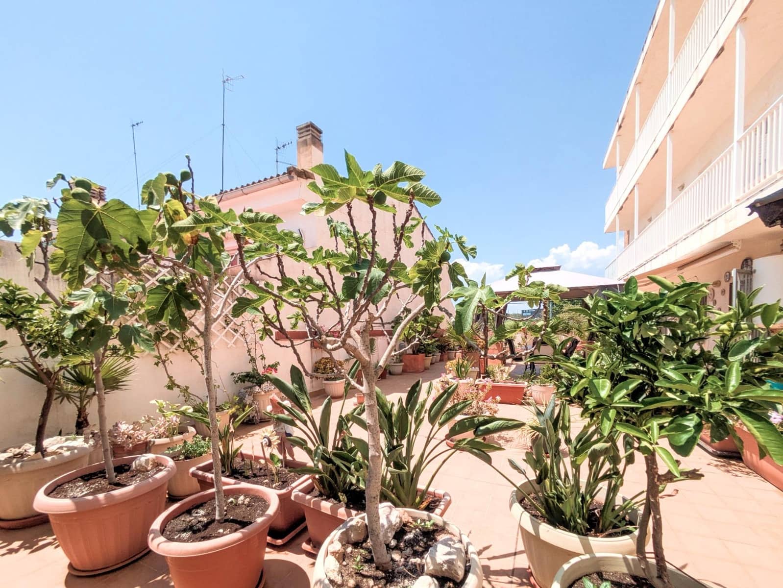 3 sypialnia Mieszkanie na sprzedaż w Amposta - 225 000 € (Ref: 9962692)