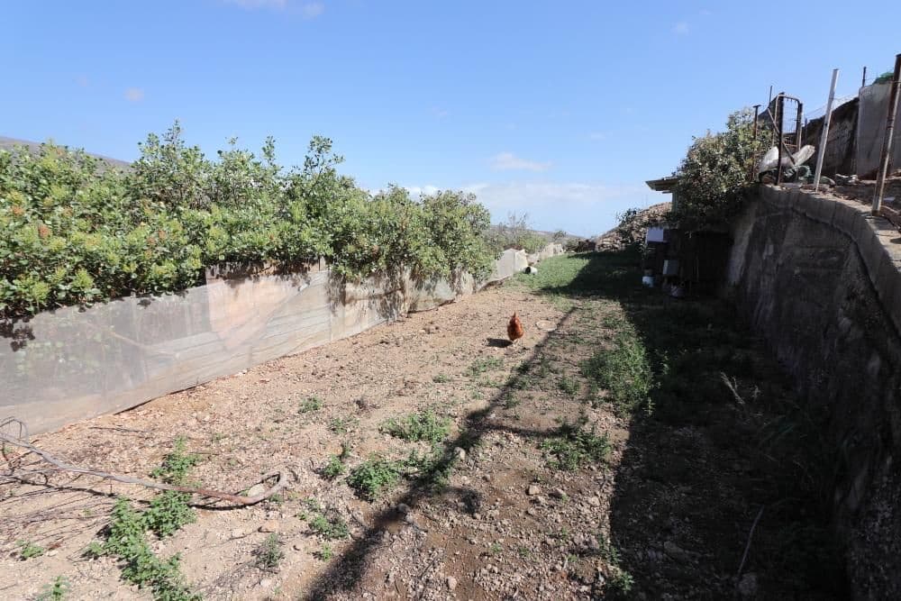 Ubebygd land til salgs i Arico - € 57 200 (Ref: 8557760)