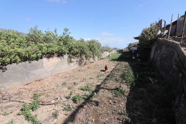 Ubebygd land til salgs i Arico - € 57 200 (Ref: 8557760)