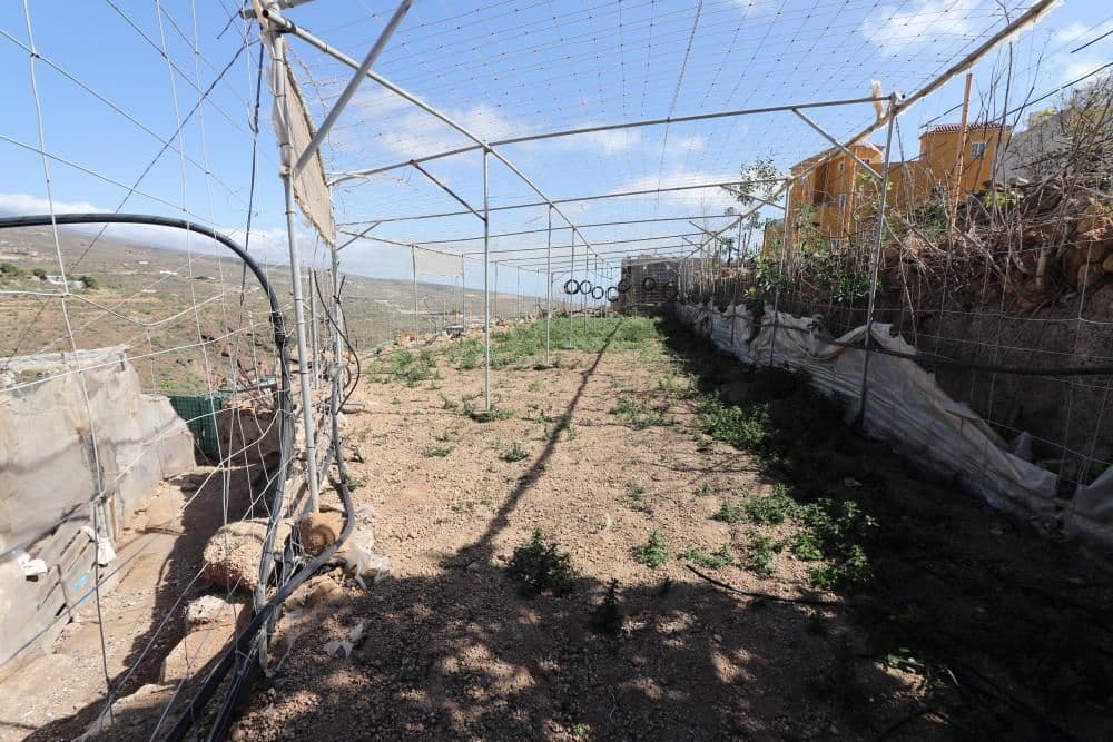 Ubebygd land til salgs i Arico - € 57 200 (Ref: 8557760)