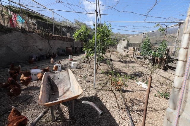 Ubebygd land til salgs i Arico - € 57 200 (Ref: 8557760)