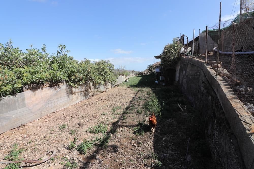 Ubebygd land til salgs i Arico - € 57 200 (Ref: 8557760)