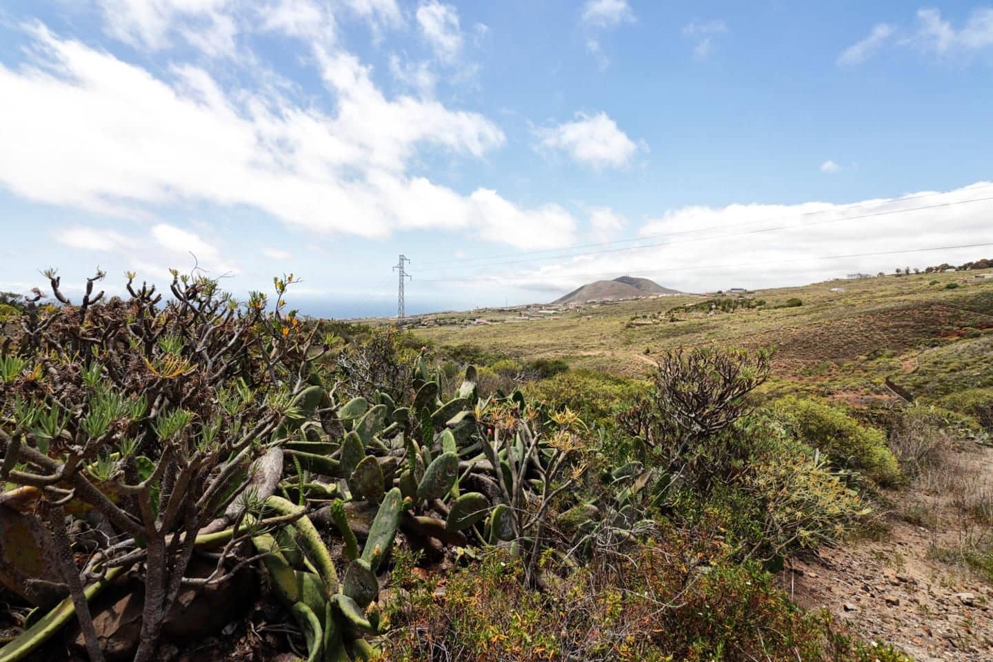 Terreno Não Urbanizado para venda em San Isidro de Abona - 190 000 € (Ref: 8557761)