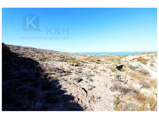 Undeveloped Land for sale in El Escobonal, Güímar - € 65,000 (Ref: 8557765)