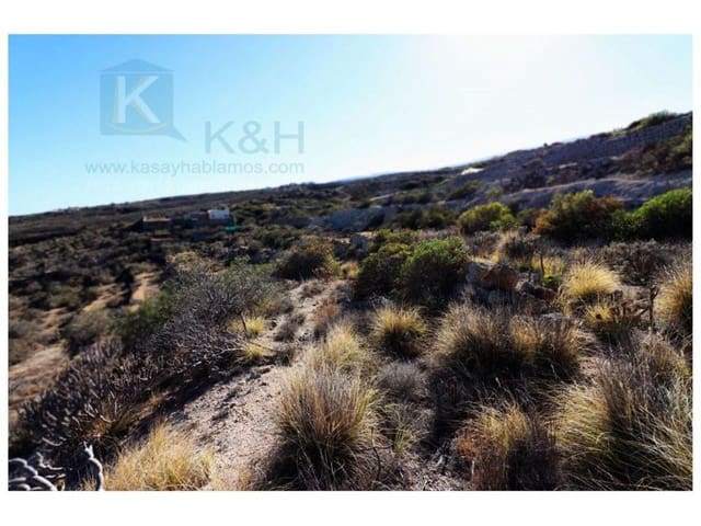 Undeveloped Land for sale in El Escobonal, Güímar - € 65,000 (Ref: 8557765)