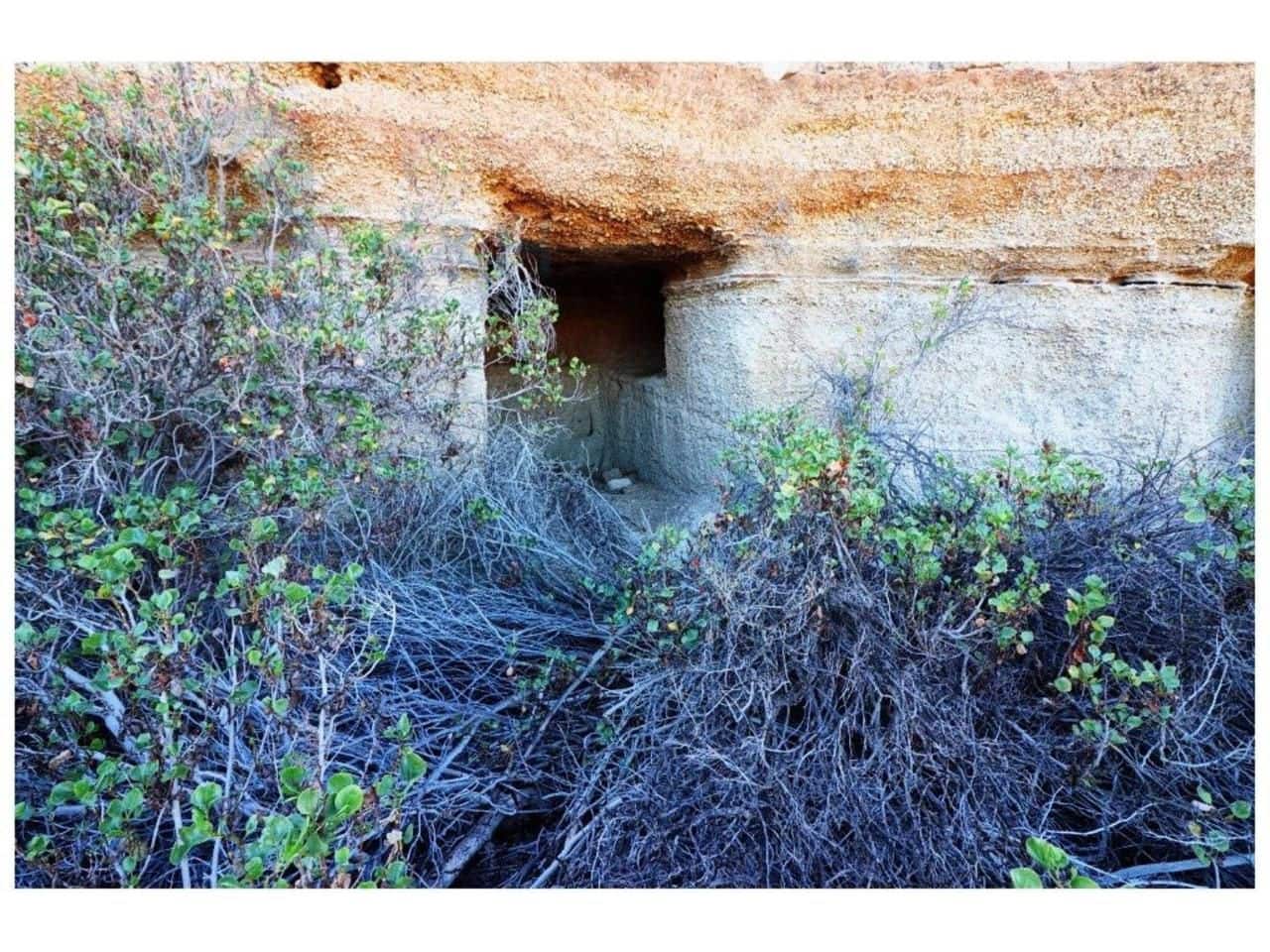 Terre non Aménagée à vendre à El Escobonal - 65 000 € (Ref: 8557765)