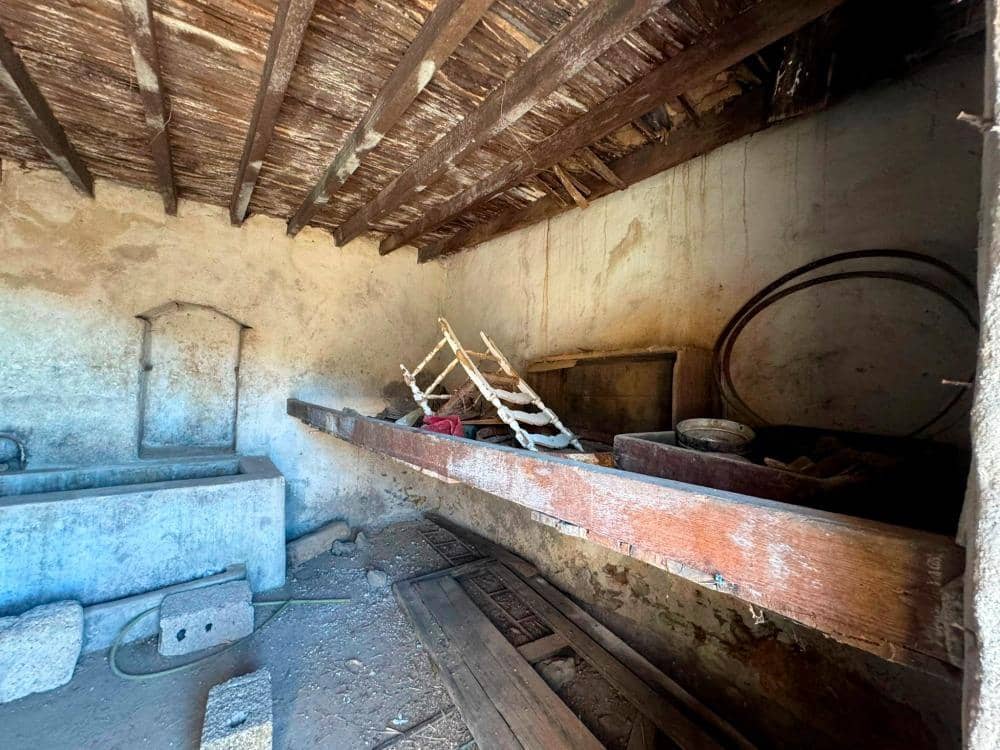 Mark till salu i Fasnia - 65 000 € (Ref: 8557775)