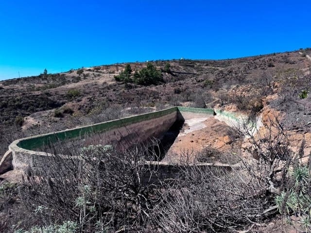 Undeveloped Land for sale in Fasnia - € 65,000 (Ref: 8557775)