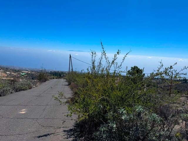 Undeveloped Land for sale in Fasnia - € 65,000 (Ref: 8557775)