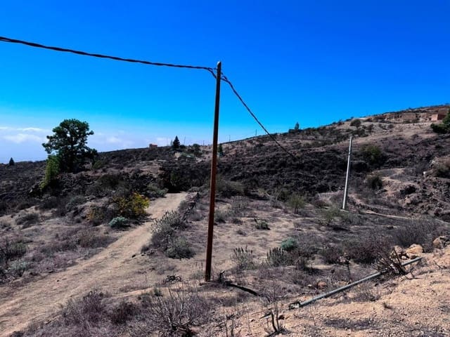 Undeveloped Land for sale in Fasnia - € 65,000 (Ref: 8557775)