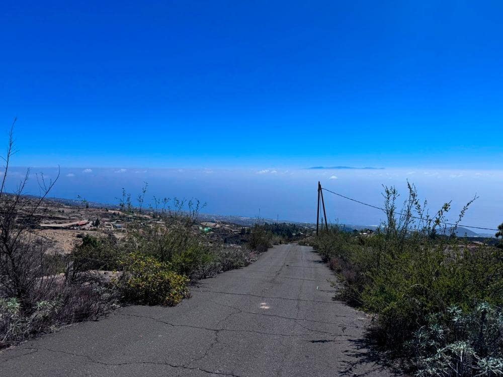 Mark till salu i Fasnia - 65 000 € (Ref: 8557775)