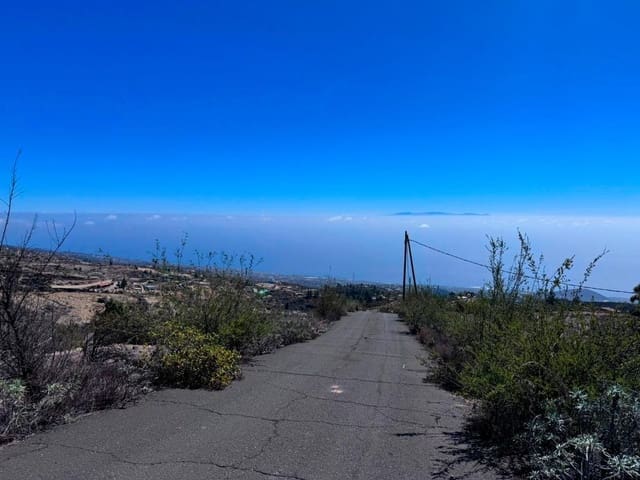 Undeveloped Land for sale in Fasnia - € 65,000 (Ref: 8557775)