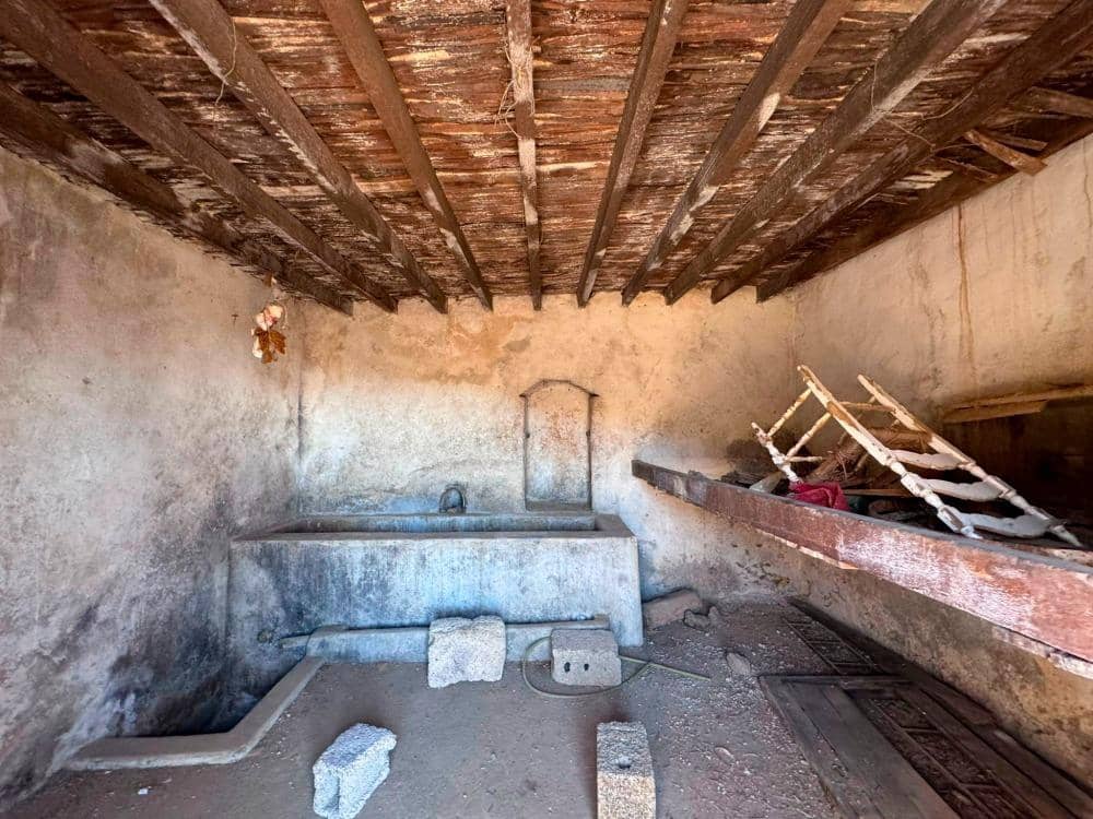 Mark till salu i Fasnia - 65 000 € (Ref: 8557775)