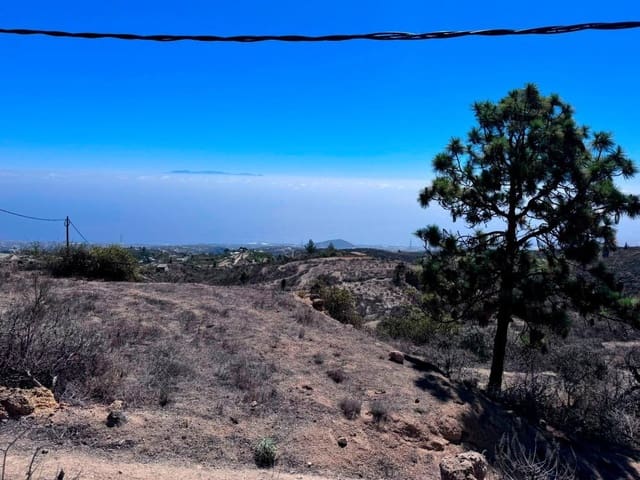 Undeveloped Land for sale in Fasnia - € 65,000 (Ref: 8557775)