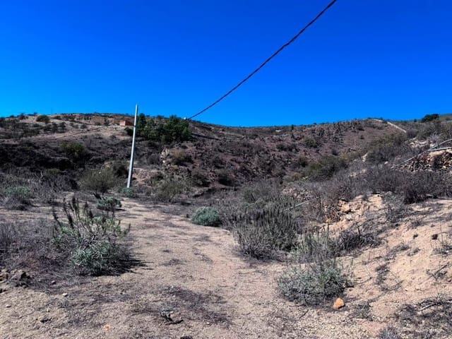 Undeveloped Land for sale in Fasnia - € 65,000 (Ref: 8557775)