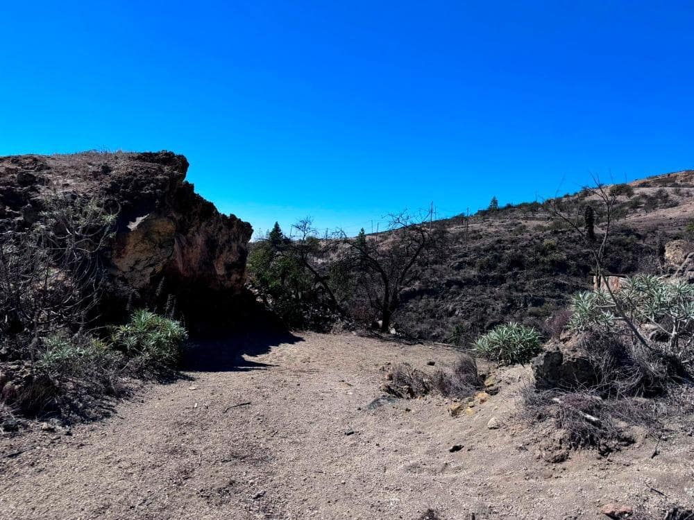 Mark till salu i Fasnia - 65 000 € (Ref: 8557775)