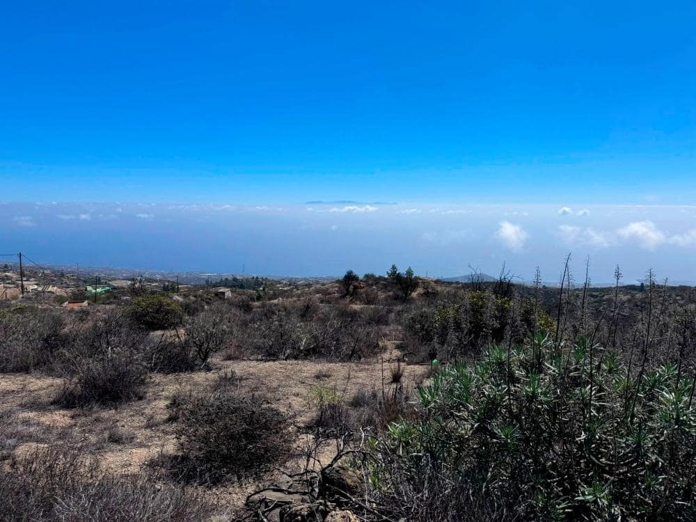 Mark till salu i Fasnia - 65 000 € (Ref: 8557775)