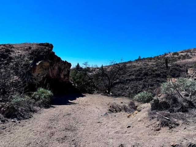 Undeveloped Land for sale in Fasnia - € 65,000 (Ref: 8557775)