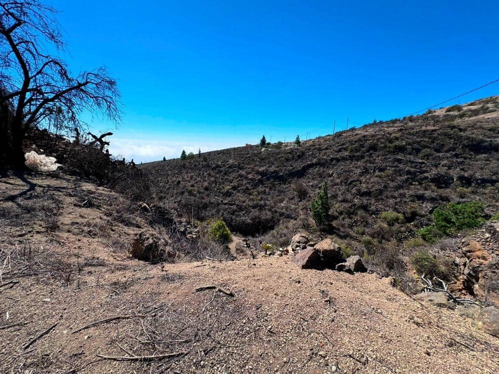 Mark till salu i Fasnia - 65 000 € (Ref: 8557775)