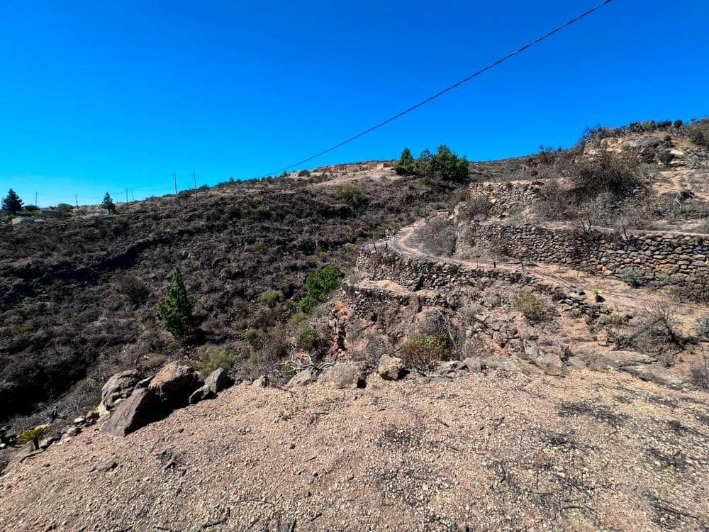 Mark till salu i Fasnia - 65 000 € (Ref: 8557775)