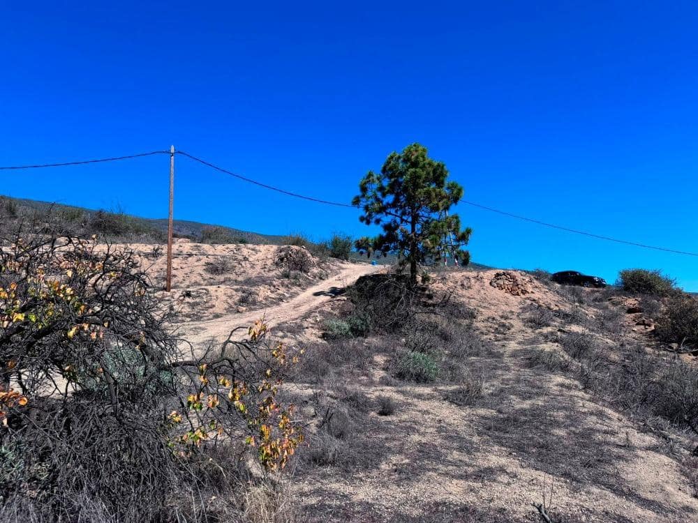 Mark till salu i Fasnia - 65 000 € (Ref: 8557775)