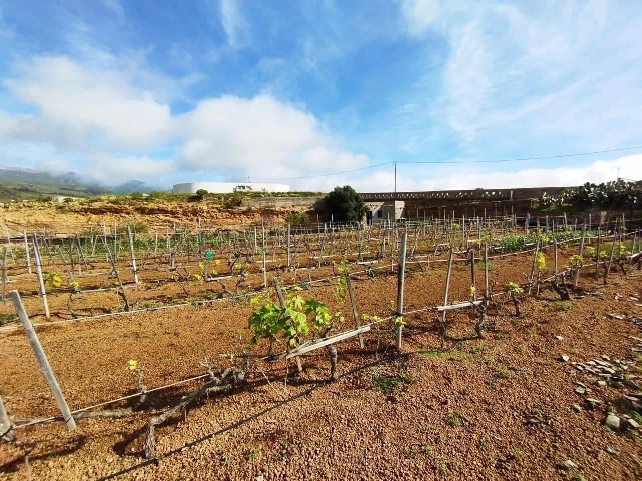 Grunde uden byggetilladelser til salg i El Rio de Arico - € 156.000 (Ref: 8557782)