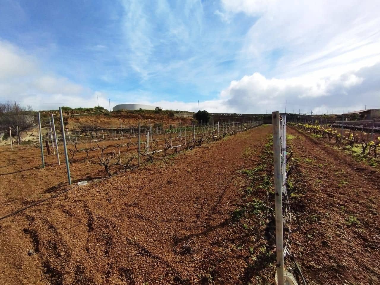 Grunde uden byggetilladelser til salg i El Rio de Arico - € 156.000 (Ref: 8557782)