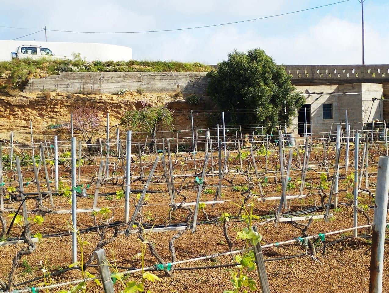 Grunde uden byggetilladelser til salg i El Rio de Arico - € 156.000 (Ref: 8557782)