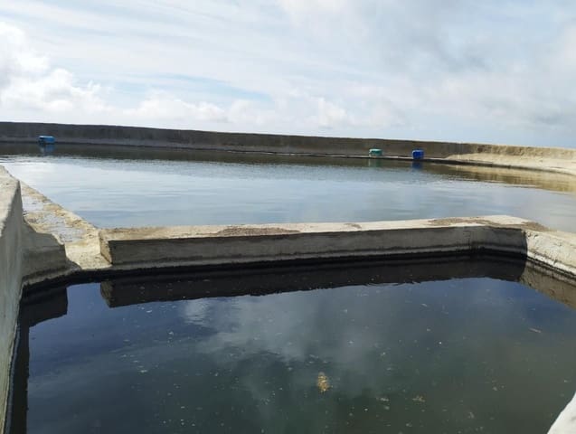 Terre non Aménagée à vendre à El Rio de Arico, Arico - 156 000 € (Ref: 8557782)